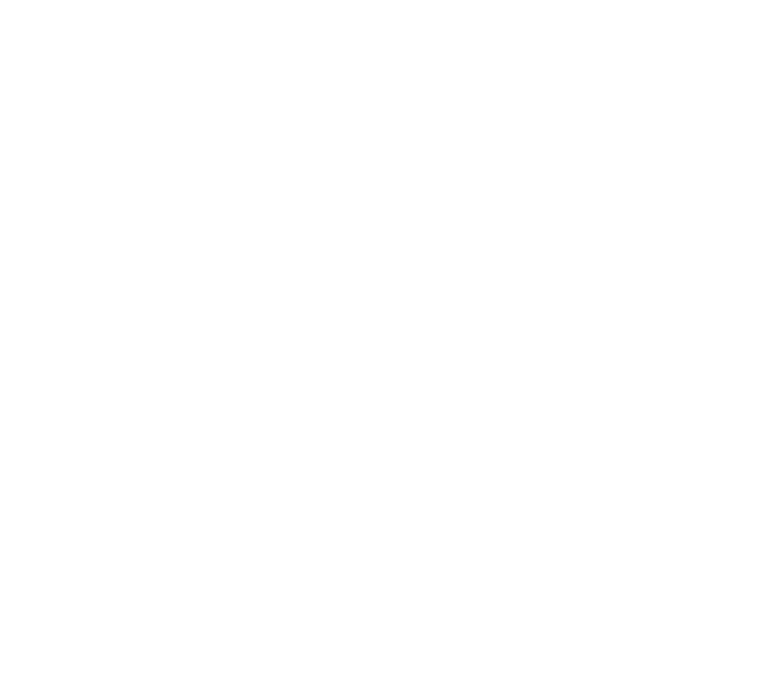 logo castel novel